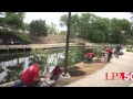 Earth Day Tree Planting in San Antonio | #LPA50 | LPA
