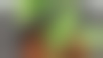 My DIY RDWC system finally operational