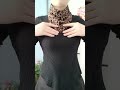 I Tested This Trick… It Actually Works 😳 Easy Bow Hack #shorts