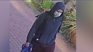 Police search for arsonist
