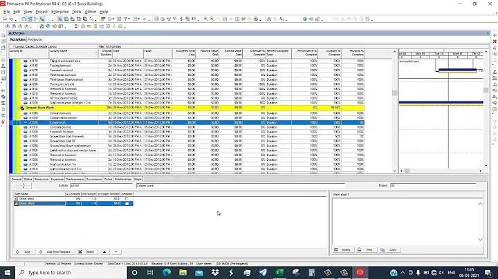 Primavera p6 Tutorial | What is activity steps
