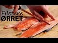 Hvordan filetere ørret eller annen småfisk