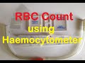 Hemocytometer and Blood Cell Counting Quiz