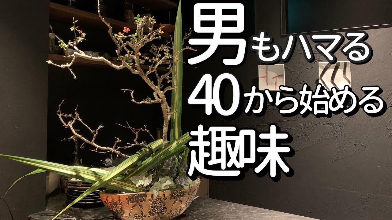 沈丁花の育て方 沈丁花枯れる原因 挿し木の時期 アブラムシ薬 Youtube