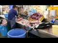 Japanese Street Food - GIANT MORAY EEL Sashimi Okinawa Seafood Japan