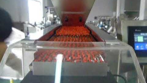 Automatic Tablet Counting and Filling Machine(RQ-DSL-12)