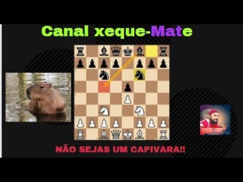 Como chegar no Xeque mate? Não deixe o rei fugir! - SleepRerun #06 