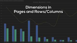 First steps in flex.bi – Dimensions in Pages and Rows/Columns