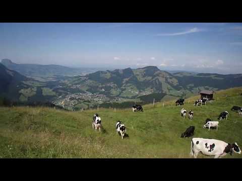 Video: De Bedste Ting At Gøre Og Se I Charmey, Schweiz
