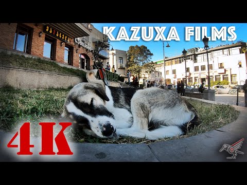 ძველი თბილისში ვტესტავთ ახალ ვიდეო კამერას / Kazuxa Films 4K