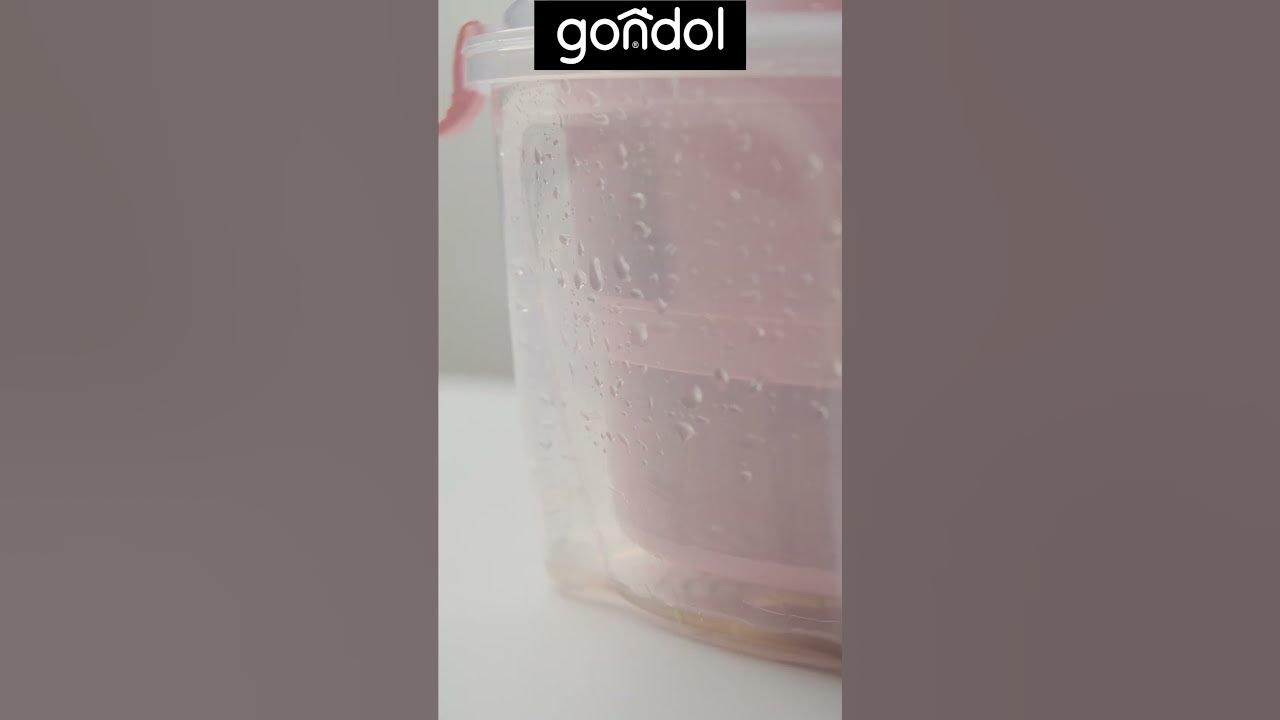 Vega salad spinner youtube