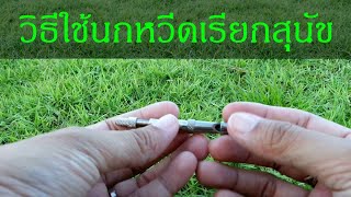 Khon Jai Ma | How to use a whistle to call a dog screenshot 1