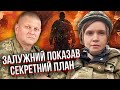 Безугла ВИДАЛА ДЕРЖАВНУ ТАЄМНИЦЮ! Вона таке розсекретила… Крамаров заявив про великий злив