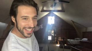 Dinosaur 101 | DAY 11: ORNITHOMIMOSAURS screenshot 5