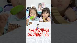 マイクラのスノボゲーム