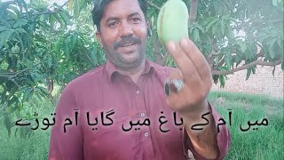 Ma Aj Mangos Ka Bag Ma Gayaor Mangos Tory