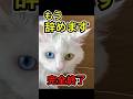 【ご報告】今まで本当にありがとう😭 #shorts