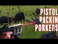 Pistol packin porkers  glock hog hunt