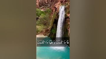 سورة : البقرة | آية «286» | لا يكلف الله نفساً إلا وسعها ...