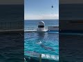 まったり休憩中