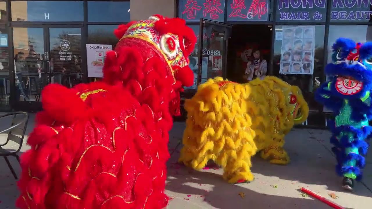 FEI SHIFU KUNG FU LION DANCE @ PACIFIC RIM PLAZA 2026