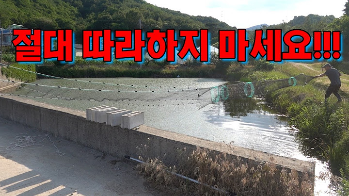 수백년된 동네 방죽! 대형 정치망 들어갑니다 !!/a large fish pot in an embankment!!