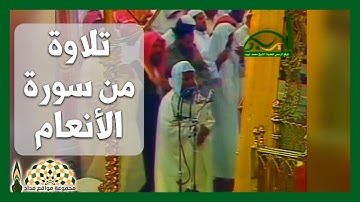 تلاوة في غاية الجمال من سورة الأنعام في رحاب المسجد النبوي لفضيلة الشيخ د. محمد أيوب رحمه الله