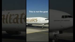The TRUE aviation goat. #aviation #memes