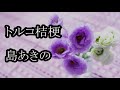 トルコ桔梗 島あきの カラオケ