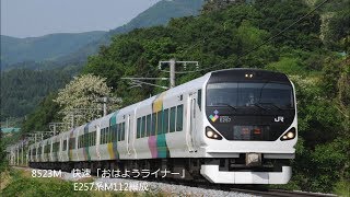 E257系（松本車）189系 N102編成に代わり「おはようライナー」代走 2018.5 JR篠ノ井線　　光panasd 854