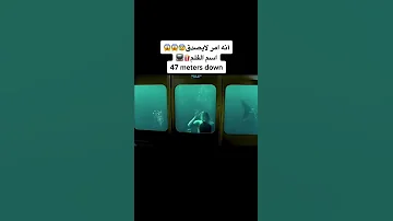 هجوم سمك القرش المرعب 