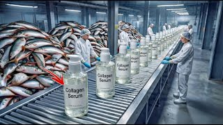 Millions of Fish Scales Turned Into Luxury Collagen Serum | Unbelievable Factory Process