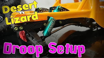Desert Lizard Droop Shock setup