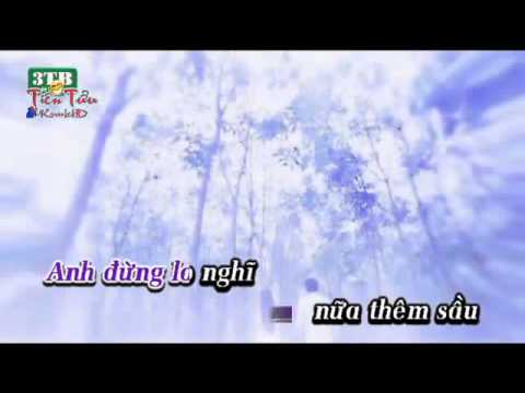 Dem Nho Nguoi Tinh karaoke luu anh loan