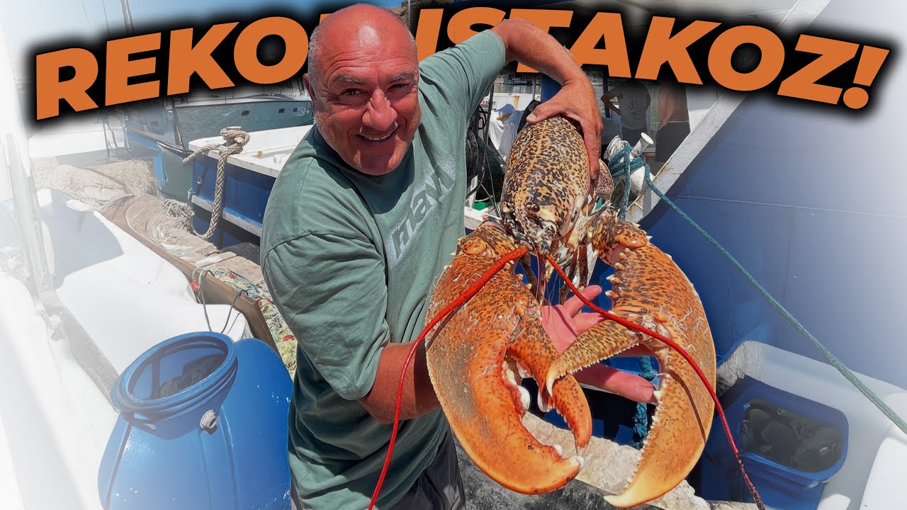 AĞLARDAN GELEN REKOR ISTAKOZ!