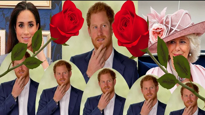 Camilla Parker Bowles Fears Prince Harry Will Refuse To Let Her Be Queen, So She Forms Meghan Mark