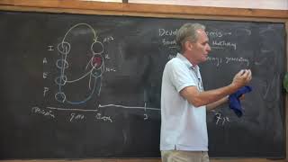 Lecture 7: Anthroposophy, Embryology & Child Development