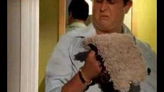 1001 Carpet Care - The Night Before screenshot 4