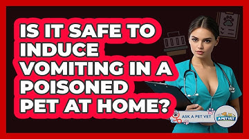 Is It Safe To Induce Vomiting In A Poisoned Pet At Home? - Ask A Pet Vet