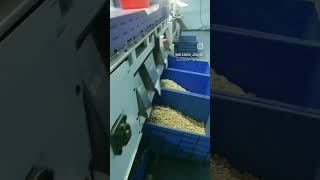 Cashew greding machine