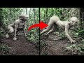 La Cámara que Entró al Bosque Prohibido: Las Criaturas Captadas que Nadie Puede Explicar
