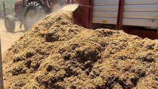 Unloading chopped straw