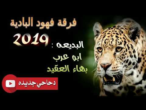 جديد دحية معولين ابو عرب و بهاء العقيد و صخر الحروب فرقة فهود البادية