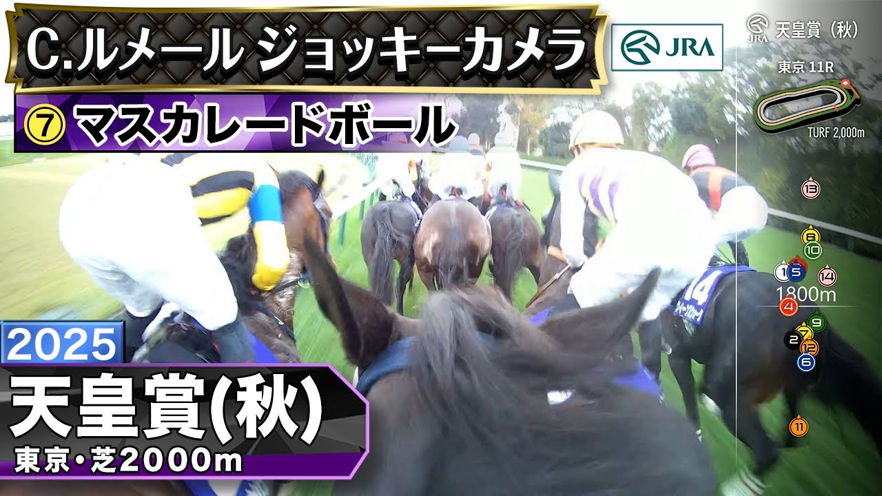 1998 Emperor's Cup (Autumn) (GⅠ) | Offside Trap | JRA