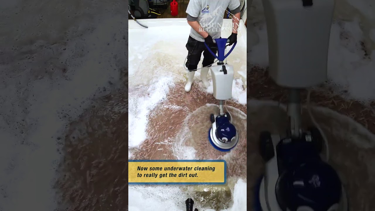 This Rug Was So Bad I Had To Clean It Underwater! Satisfying ASMR Carpet Cleaning. 
