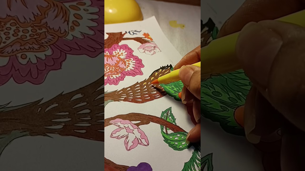 Relax and color 🐿️