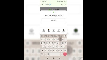 #22 Fat Finger Error NEW Seed Video Code