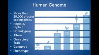 Genetics.mp4