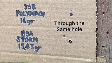 FX Wildcat MK2 MAG and SINGLE SHOT LOADER pellet/grouping test