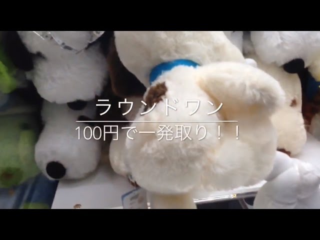 Ufoキャッチャー 100円で１発取り ラウンドワンのぬいぐるみ Youtube